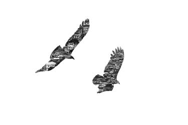 Original Abstract Expressionism Abstract Photography by Diego Cerezer