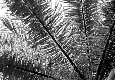 Original Abstract Expressionism Beach Photography by Diego Cerezer