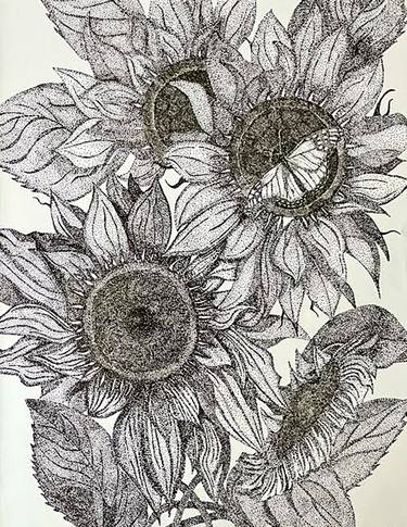 Print of Contemporary Floral Drawings by Lynda Koshy
