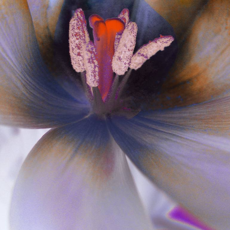 Original Photorealism Botanic Photography by Karin Elmers