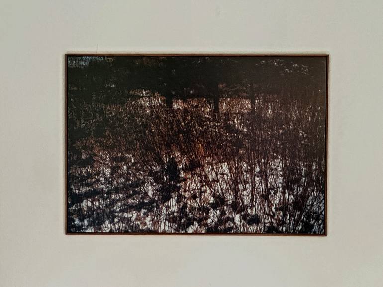 Original Abstract Expressionism Landscape Photography by Karin Elmers