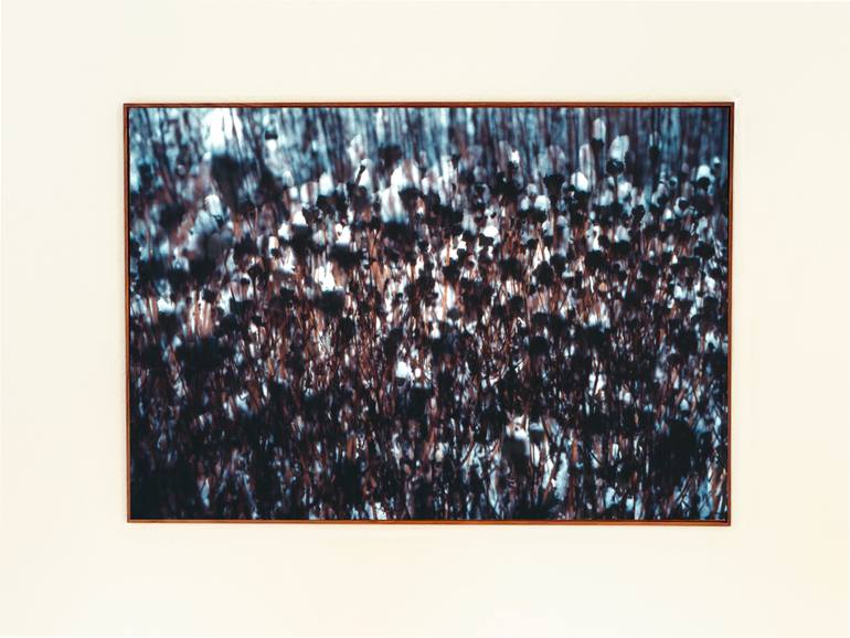 Original Abstract Expressionism Landscape Photography by Karin Elmers