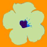 Collection New This Week 02-09-2026