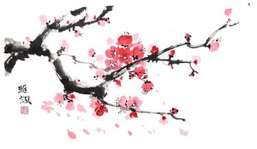 Cherry blossoms – the flower of spring. thumb