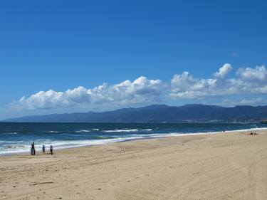 LA Venice Beach at spring time thumb