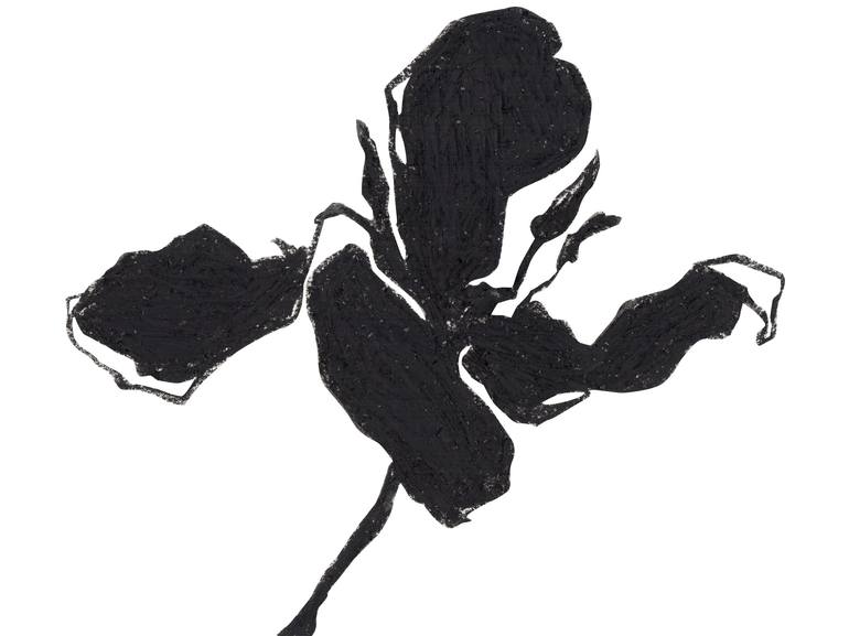 Black graphic flower (print) - Print