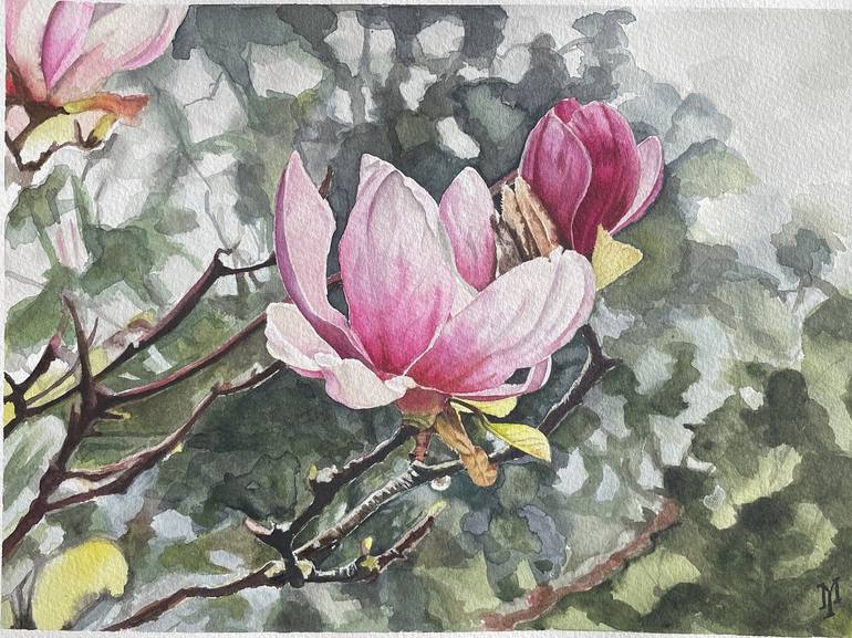Japanese Magnolia - Art Print
