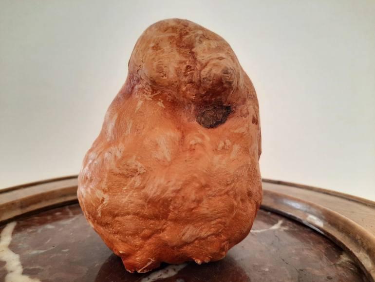 Original Conceptual Botanic Sculpture by Enrico Paoli