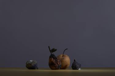 Original Contemporary Still Life Photography by Alyssa A