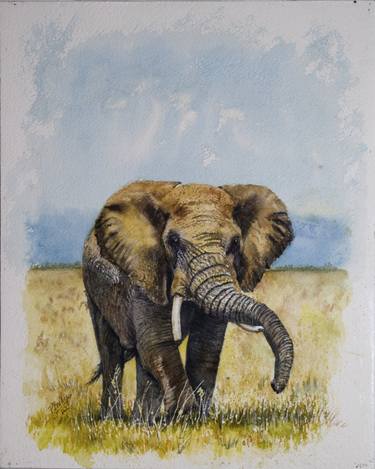 Elephant on the Golden Savanah Under Blue Skies 11x14 thumb