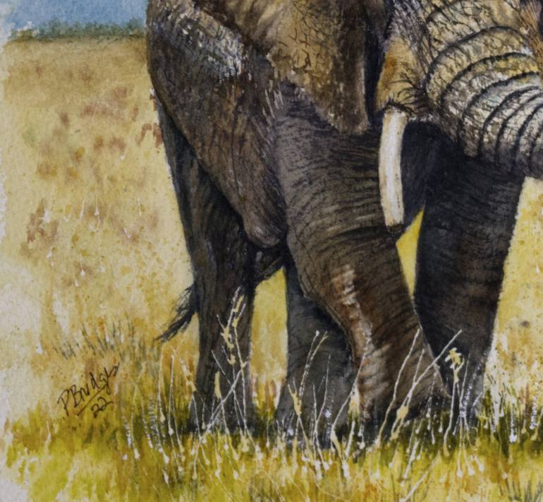 Original Animal Painting by Paula Bridges