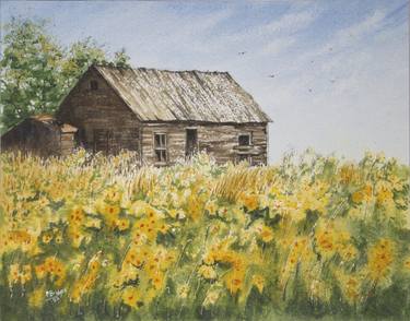 Barn in a Field of Sunflowers 11x14 thumb