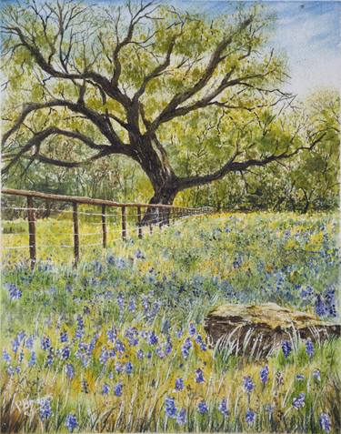 Texas Bluebonnets in Field Under Tree 11x14 thumb