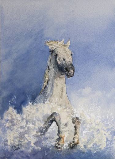 White Camargue Horse in Watercolor 9x12 thumb