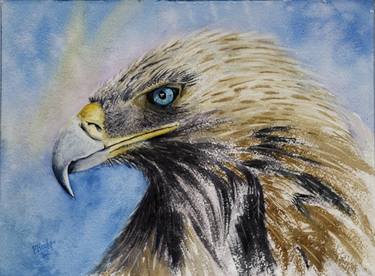 Original Fine Art Animal Paintings by Paula Bridges