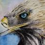 Golden Eagle Eye