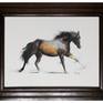 Horse in Motion framed