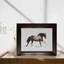 Horse in Motion on Table