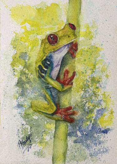 Red Eyed Tree Frog in Watercolor 5x7 thumb