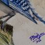Blue Jay signature