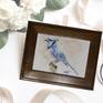 Blue Jay framed on table
