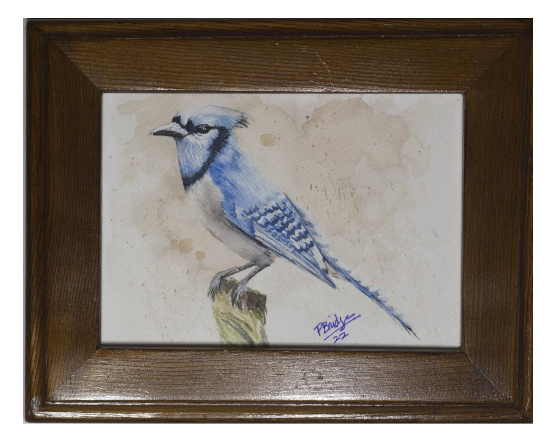 Water Color Painting, little Blue Bird on 5x7 Unframed Paper in a Vertical  Position. Paint and Water Color Pens, Hand Done. 