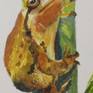 Close up of Frog Watercolor
