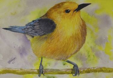 Yellow Gold Finch Bird in Watercolor 5x7 thumb