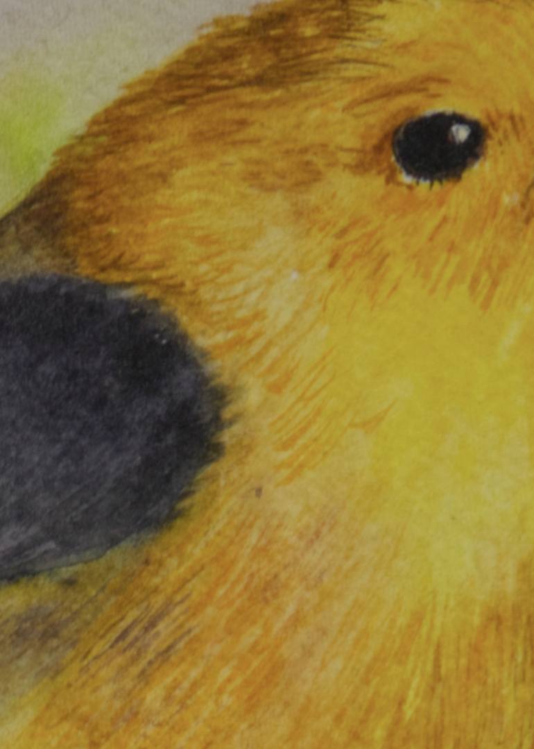 Original Impressionism Animal Painting by Paula Bridges