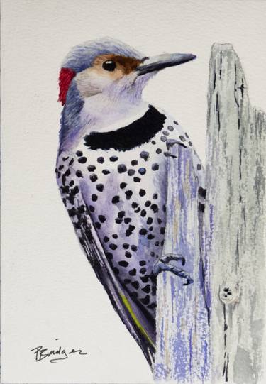 Northern Flicker Bird in Watercolor 5x7 thumb
