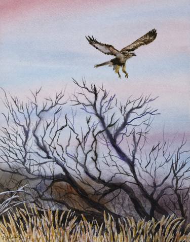 Eagle in Flight Hunting in Watercolor 9x12 thumb