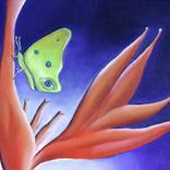 The Butterfly and the eye by Arepo -