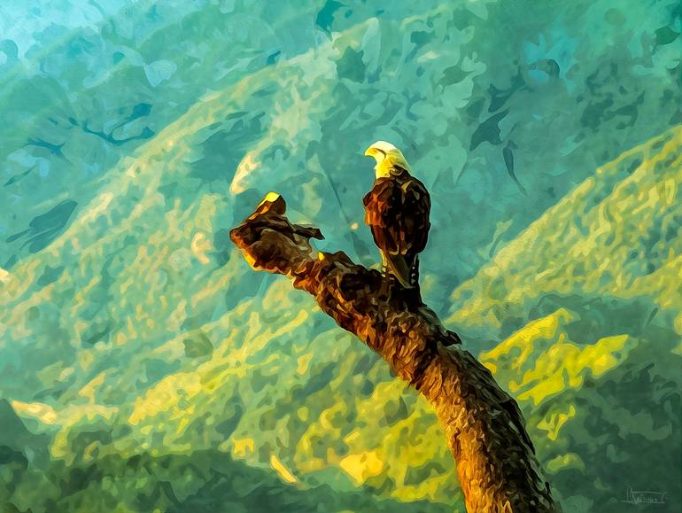 Original Nature Photography by Orlando Sanchez Cabrera | Digital Art Art on Paper | Guardian of the Peaks