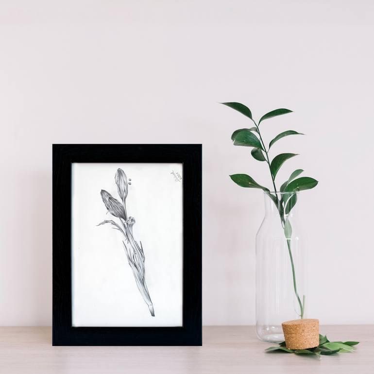 Original Realism Botanic Drawing by Sibel Dogan