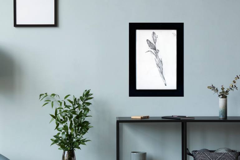Original Realism Botanic Drawing by Sibel Dogan
