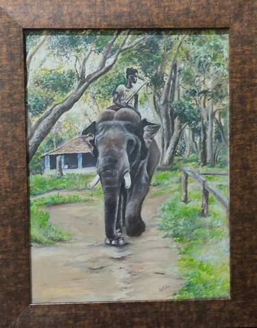 Elephants of Dubare: The Mahout thumb