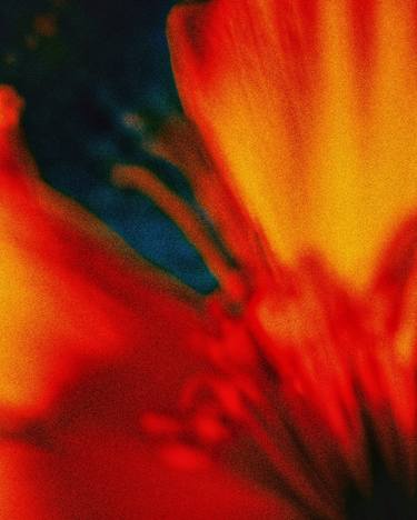 Original Conceptual Abstract Photography by Oleg Gant