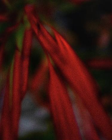 Original Conceptual Abstract Photography by Oleg Gant