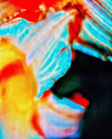 Original Conceptual Abstract Photography by Oleg Gant