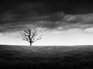 Original Minimalism Landscape Photography by Mario Tarantino