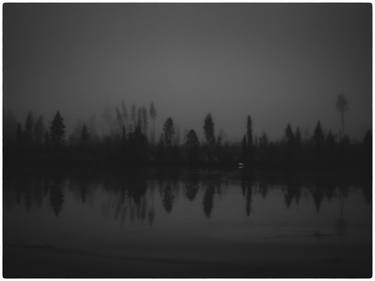 Original Documentary Nature Photography by Martin Wærn