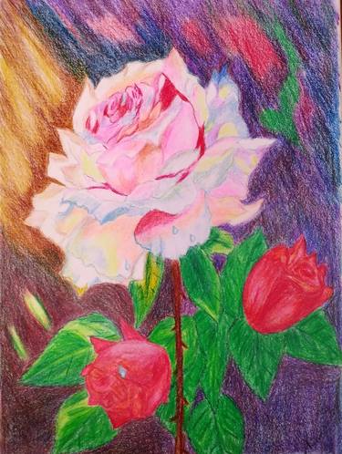 Original Realism Floral Drawings by Angelina Chub
