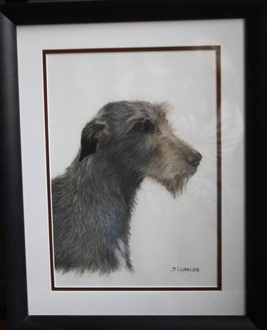 Original Dogs Drawings by Jacqueline Clarisse