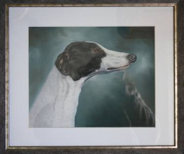 Greyhound Portrait thumb