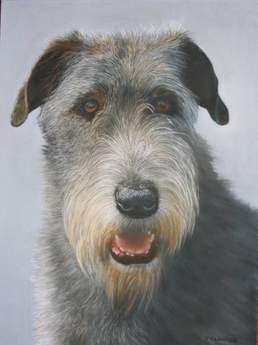 Portrait of Irish wolfhound thumb