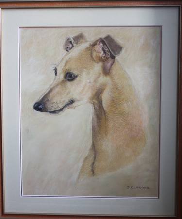 Original Animal Drawings by Jacqueline Clarisse