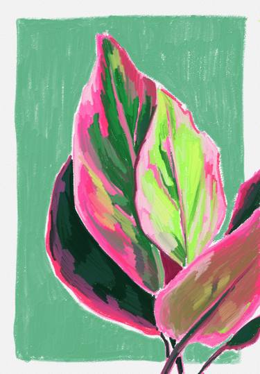 Print of Fine Art Floral Digital by Maria Mindal