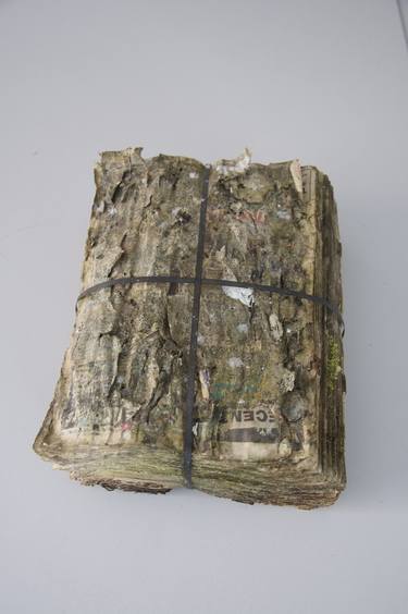 Untitled  (Old book) thumb