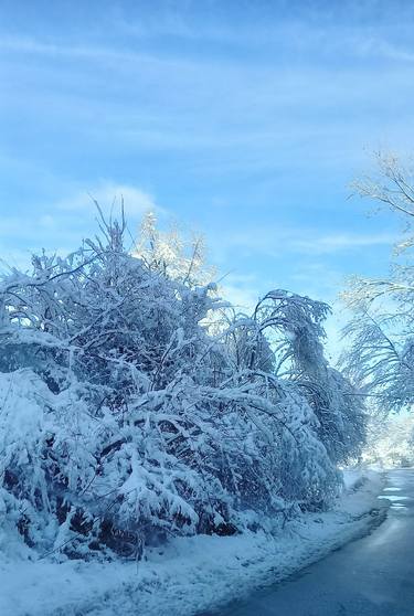 Beautiful white winter in the woodland thumb