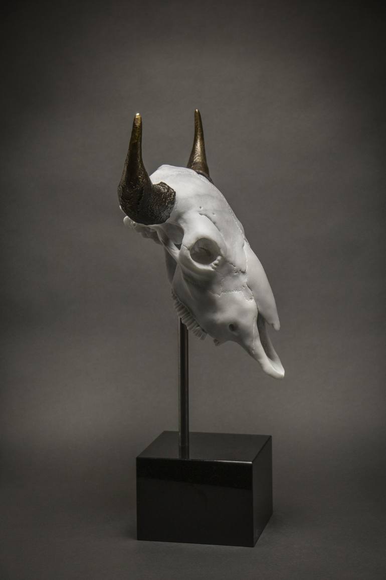 Original Animal Sculpture by Marco Di Lucca
